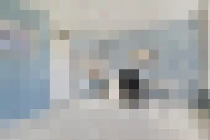 A. Noordewier-Reddingiuslaan 3 Rotterdam thumbnail 30
