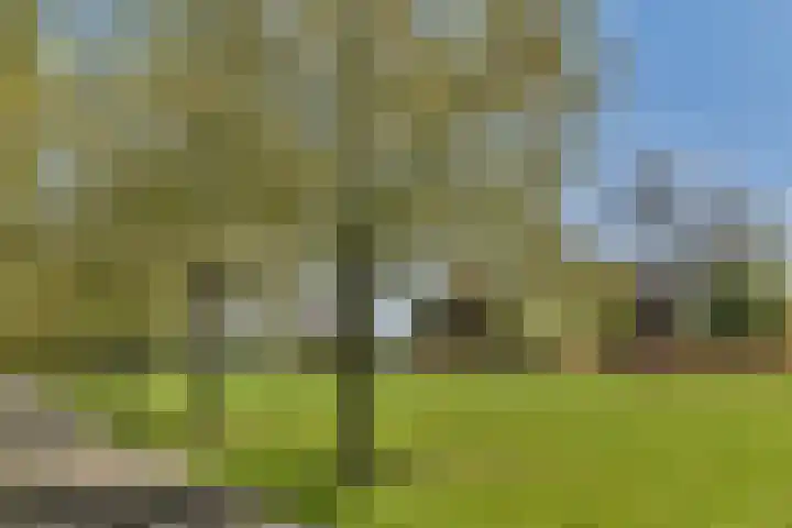 A. Noordewier-Reddingiuslaan 3 Rotterdam thumbnail 31