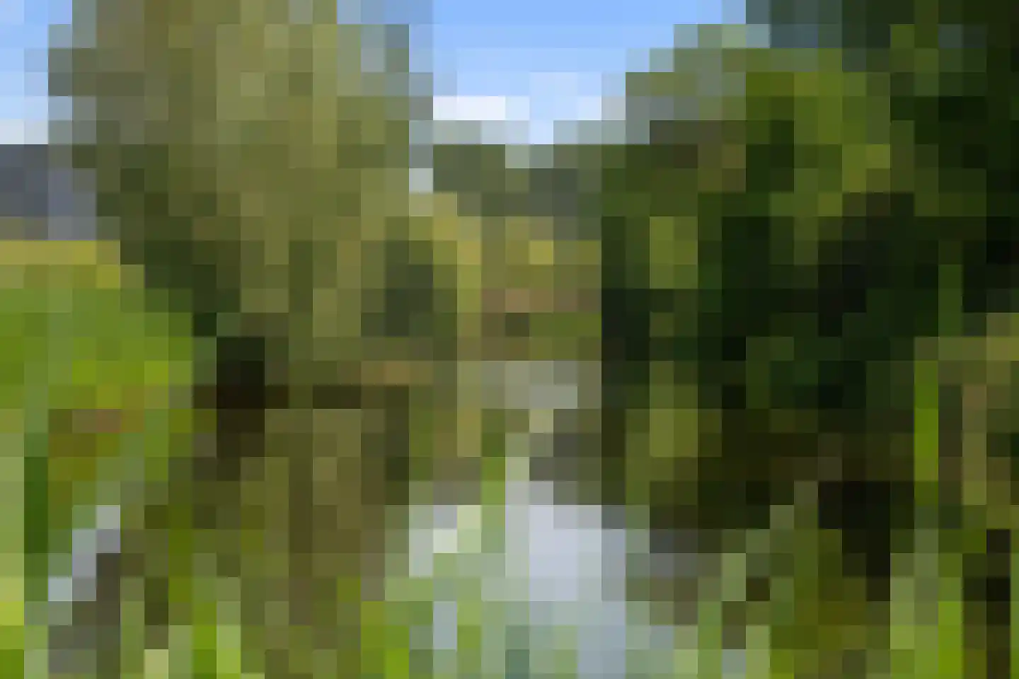 A. Noordewier-Reddingiuslaan 89 Rotterdam thumbnail 42