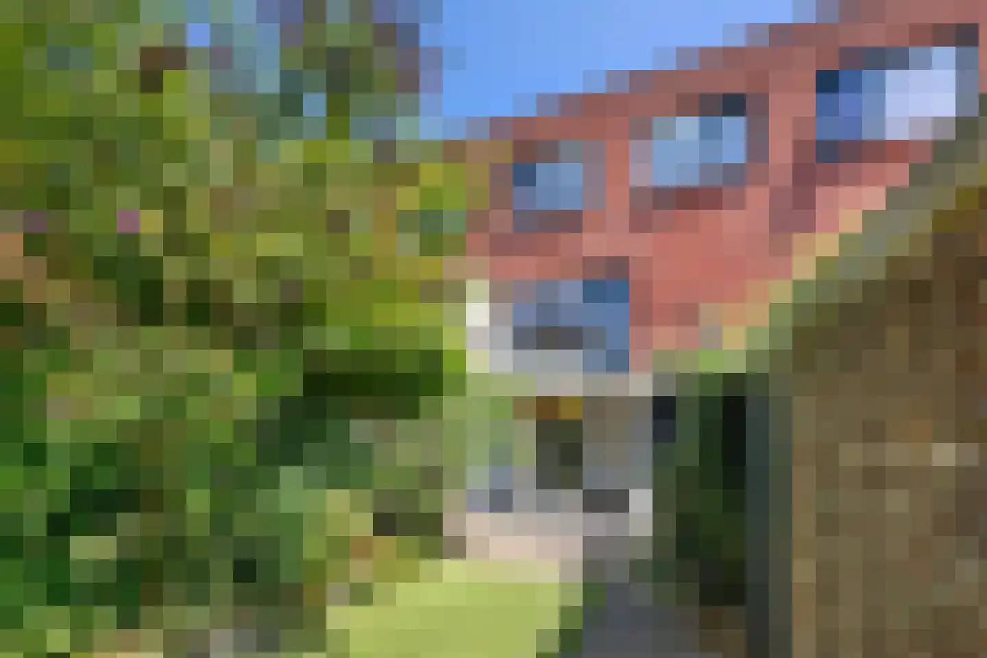 A. Noordewier-Reddingiuslaan 89 Rotterdam thumbnail 6