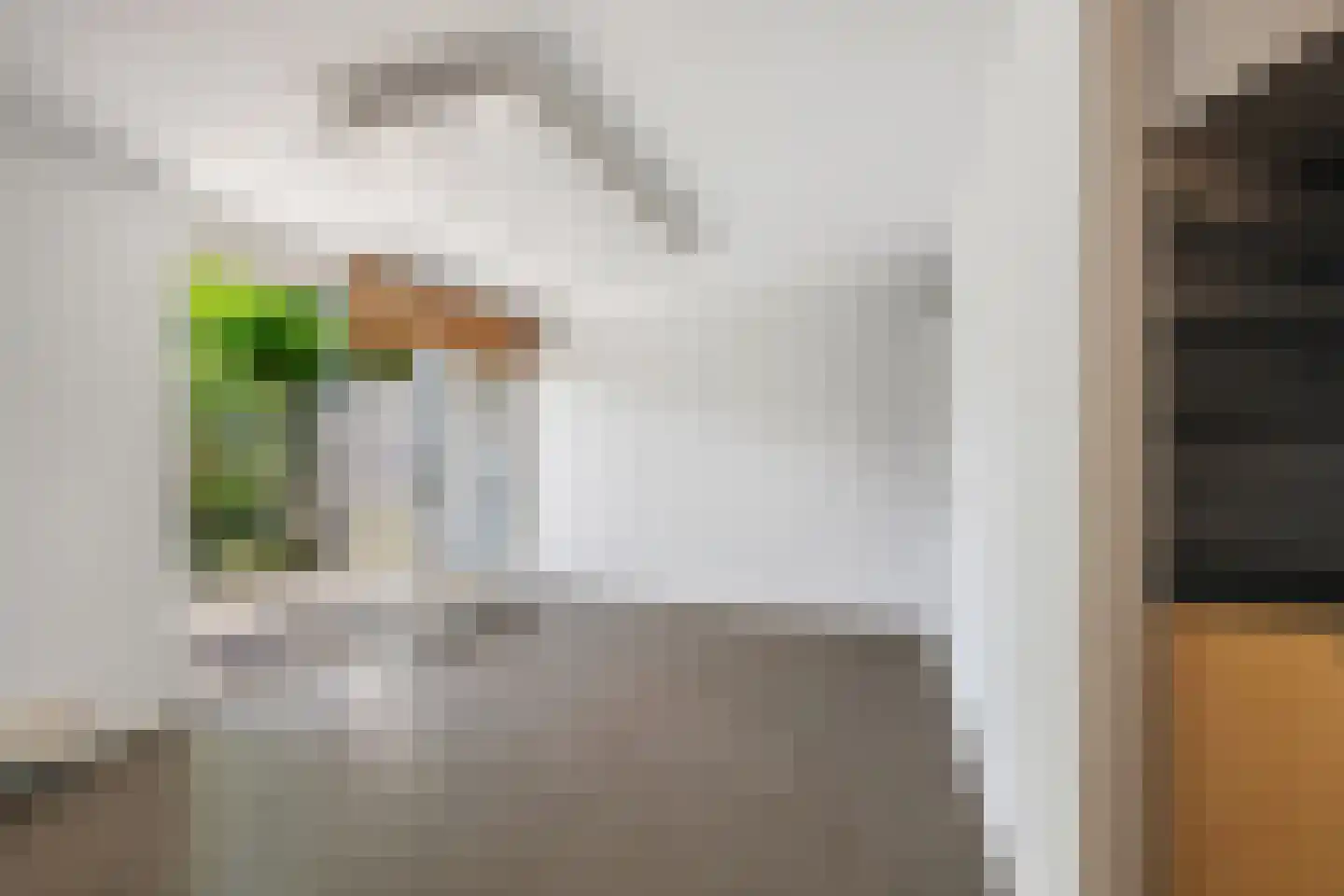 A. Noordewier-Reddingiuslaan 89 Rotterdam thumbnail 7
