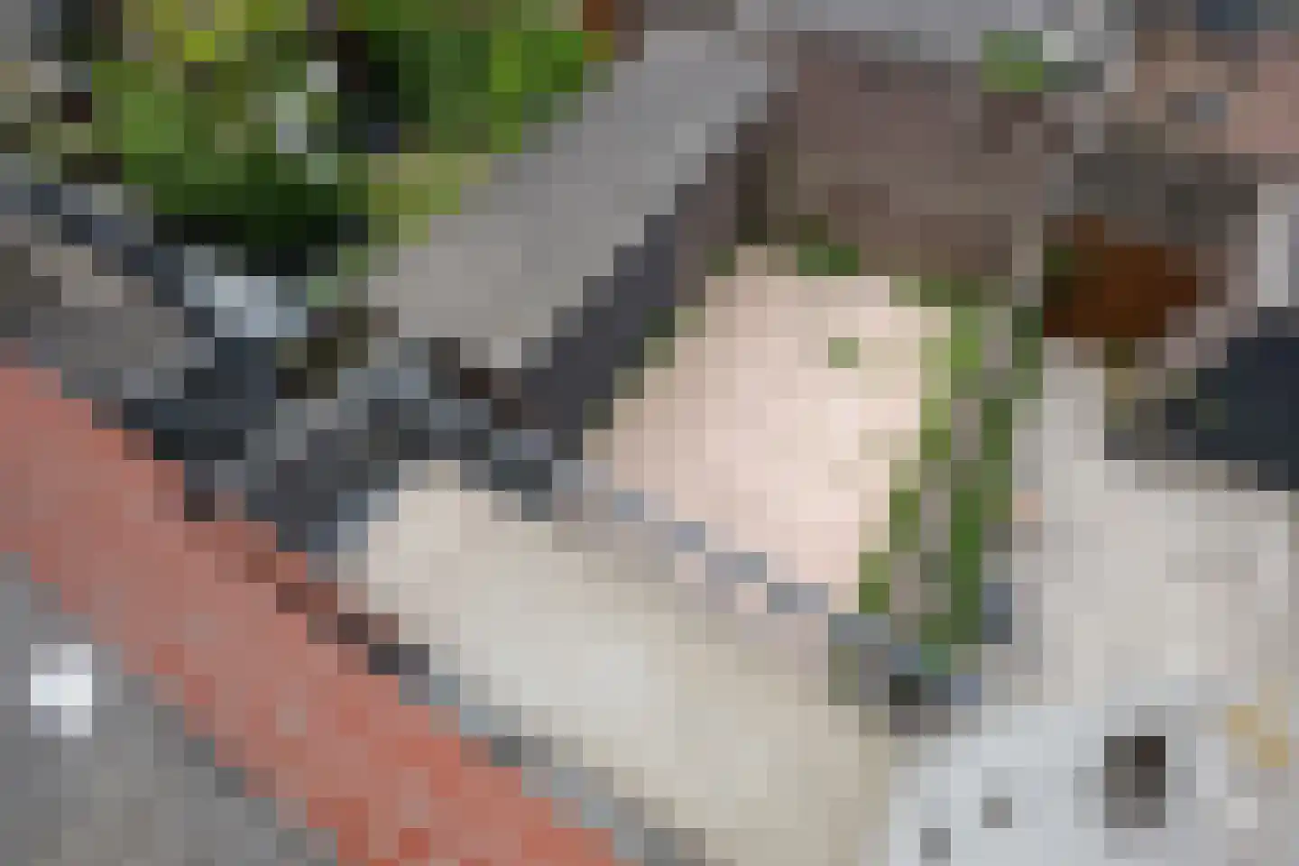 A. Noordewier-Reddingiuslaan 97 Rotterdam thumbnail 32