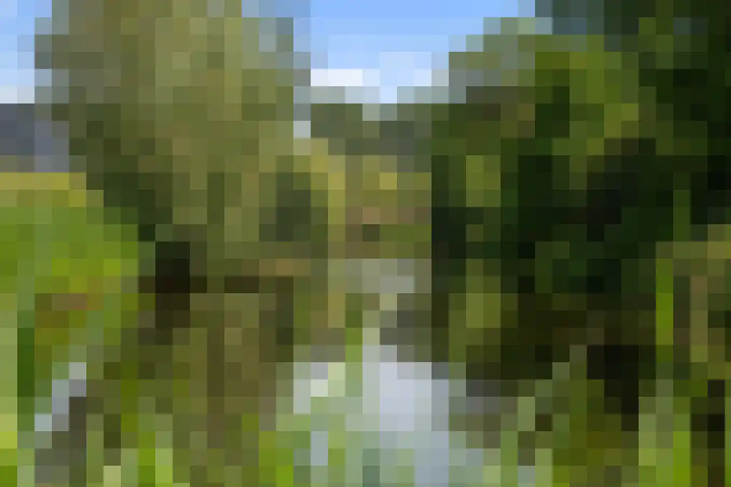 A. Noordewier-Reddingiuslaan 97 Rotterdam thumbnail 36