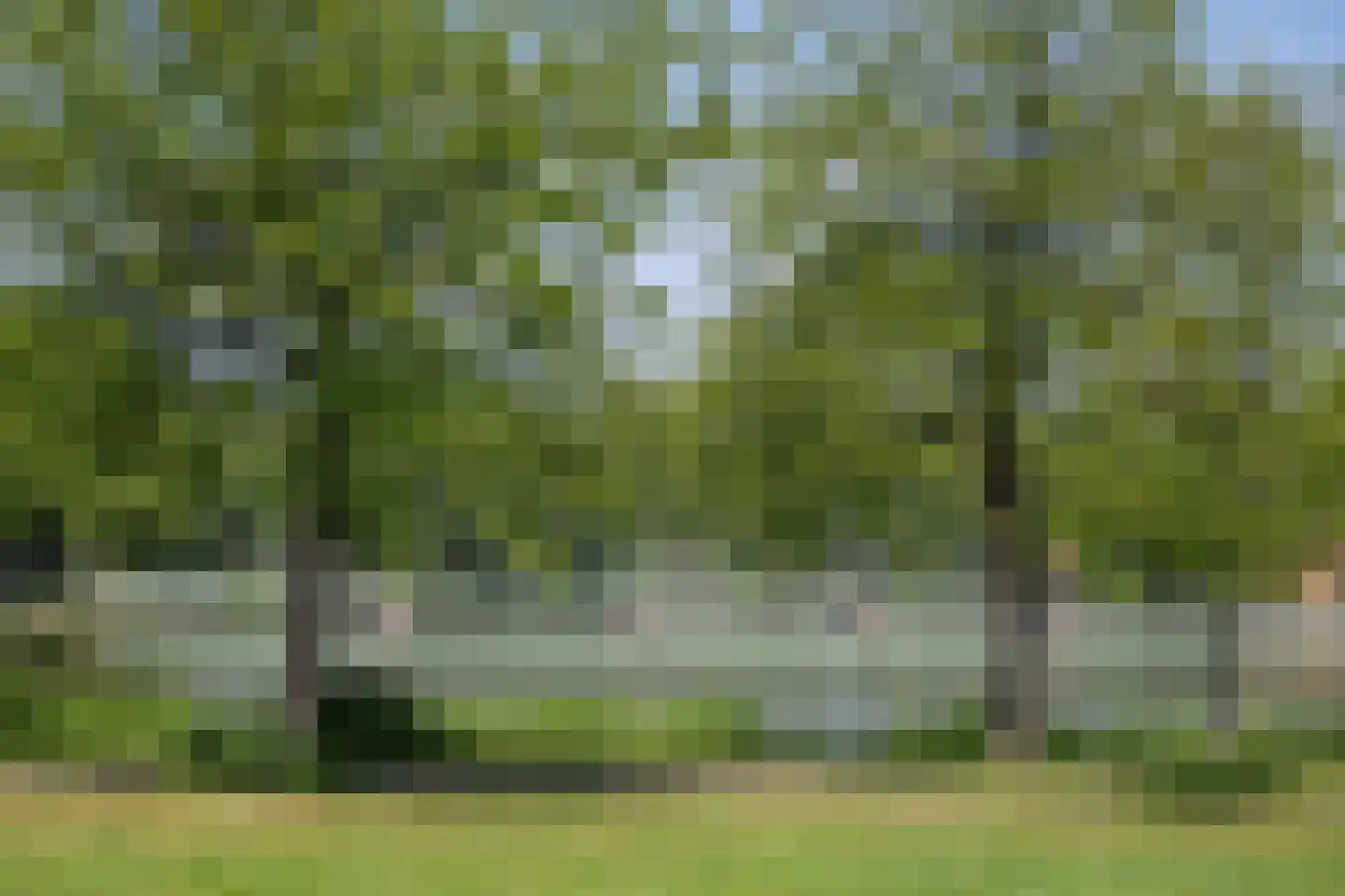 A. Noordewier-Reddingiuslaan 97 Rotterdam thumbnail 39