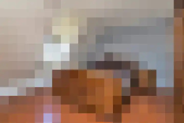 A.P. de Bontstraat 43 Veldhoven thumbnail 31