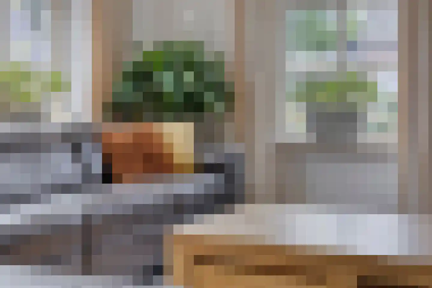 A.P. de Bontstraat 5 Veldhoven thumbnail 10
