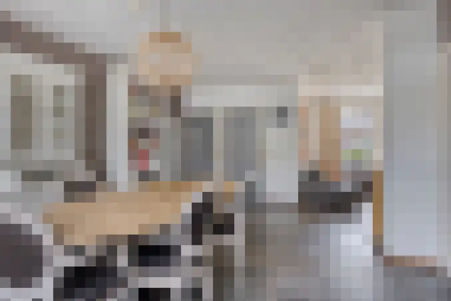 A.P. de Bontstraat 5 Veldhoven thumbnail 16