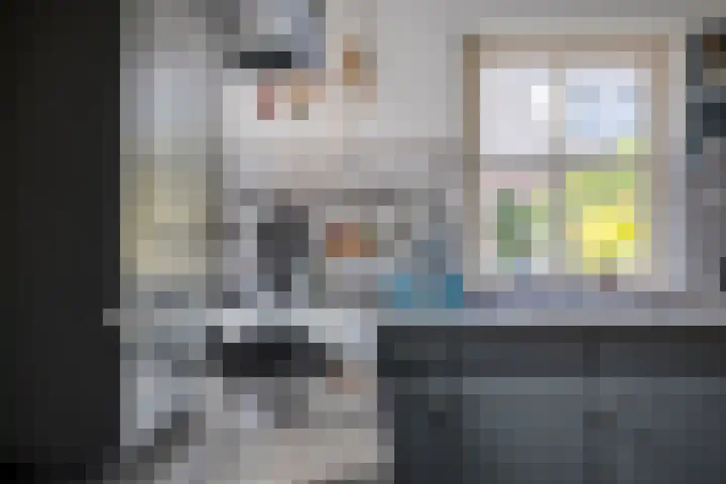 A.P. de Bontstraat 5 Veldhoven thumbnail 28
