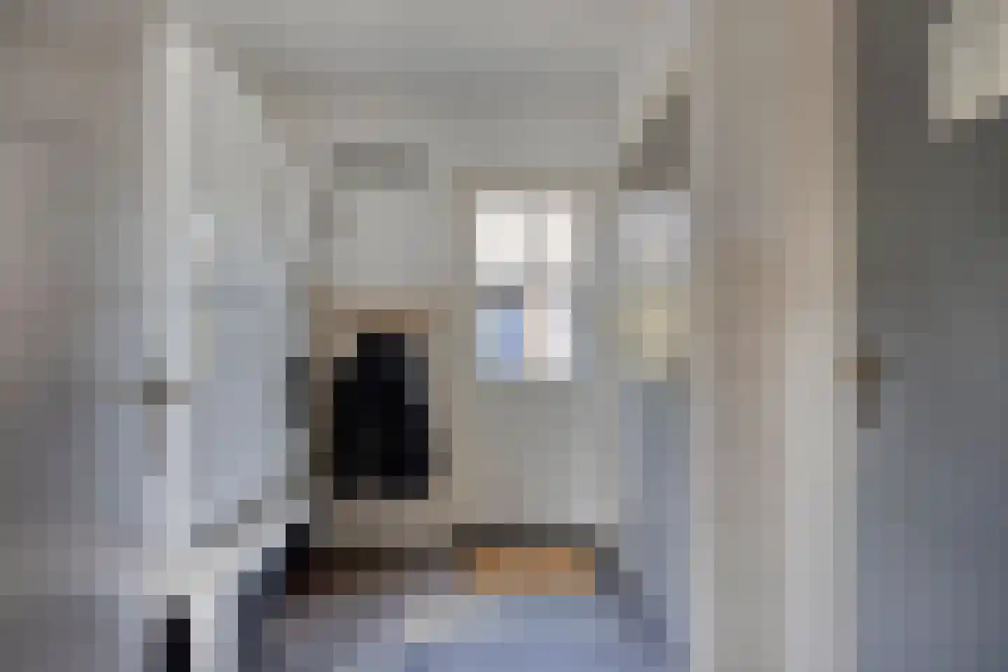 A.P. de Bontstraat 5 Veldhoven thumbnail 31