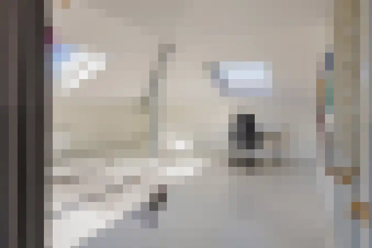 A.P. van Neslaan 23 Boskoop thumbnail 27
