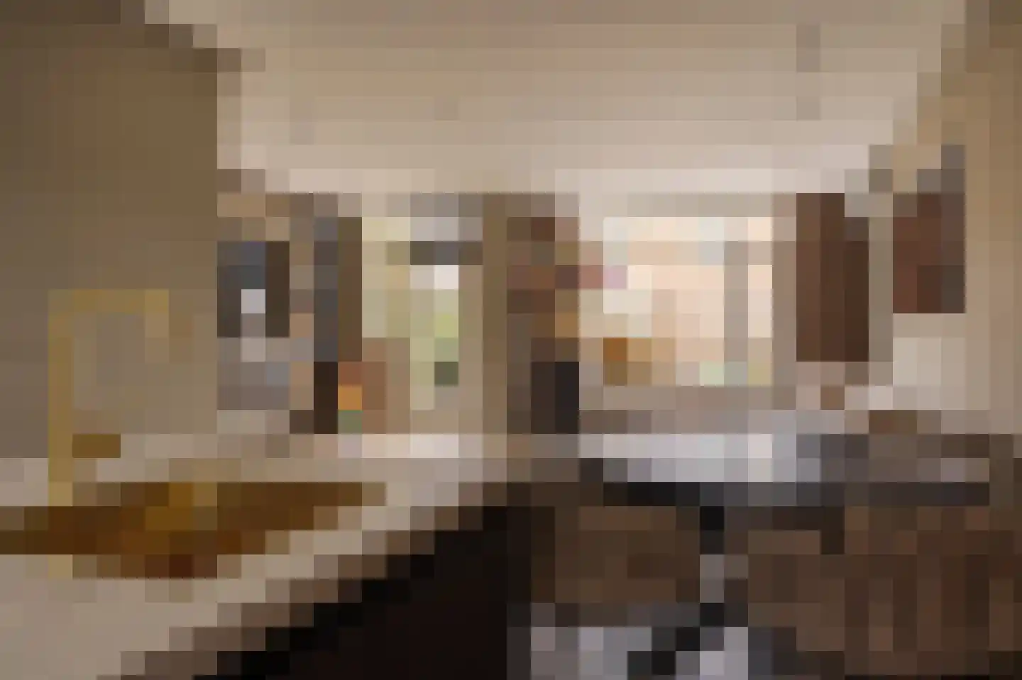 A. Pakvisstraat 7 Den Haag thumbnail 10