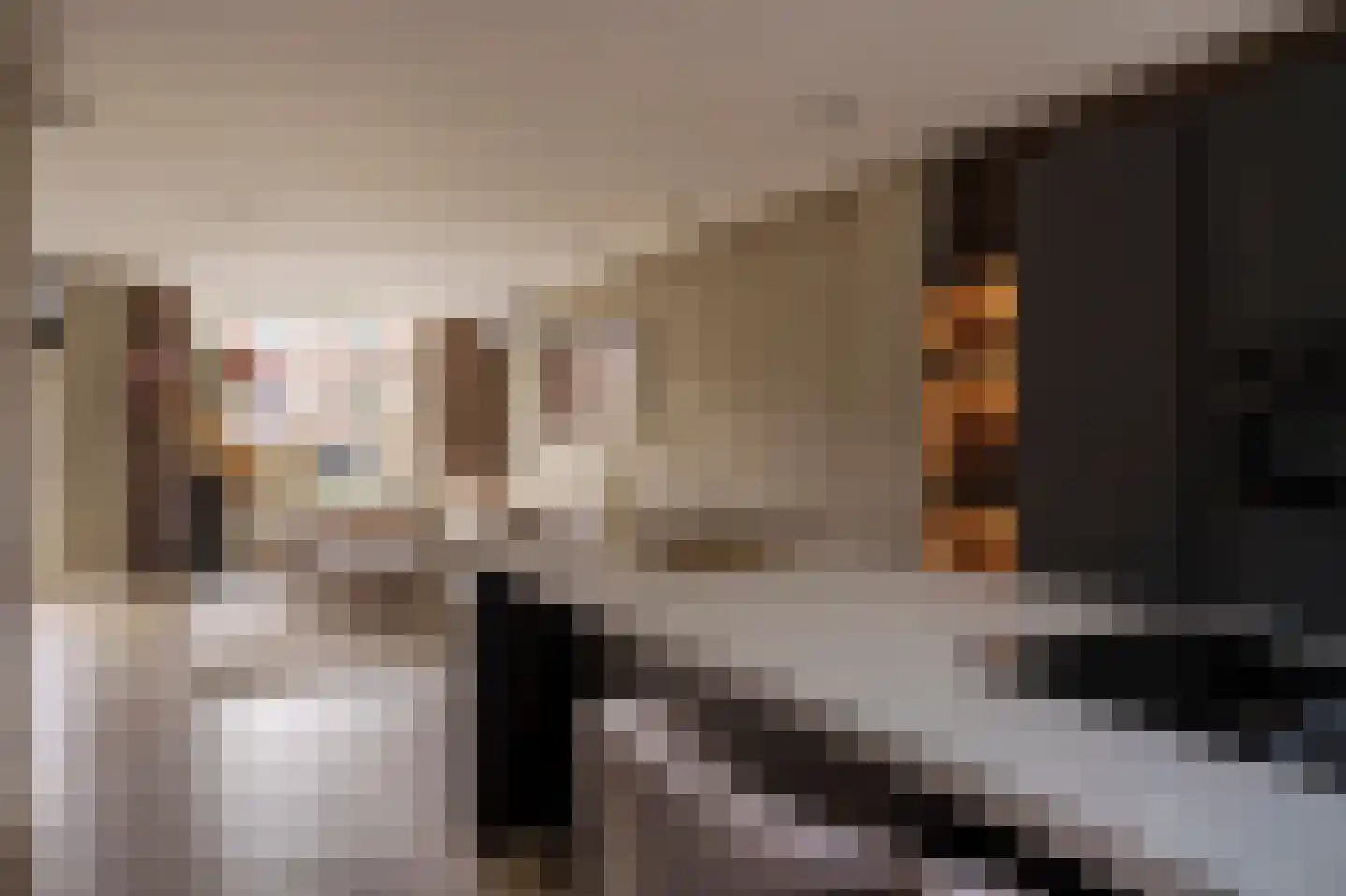 A. Pakvisstraat 7 Den Haag thumbnail 12