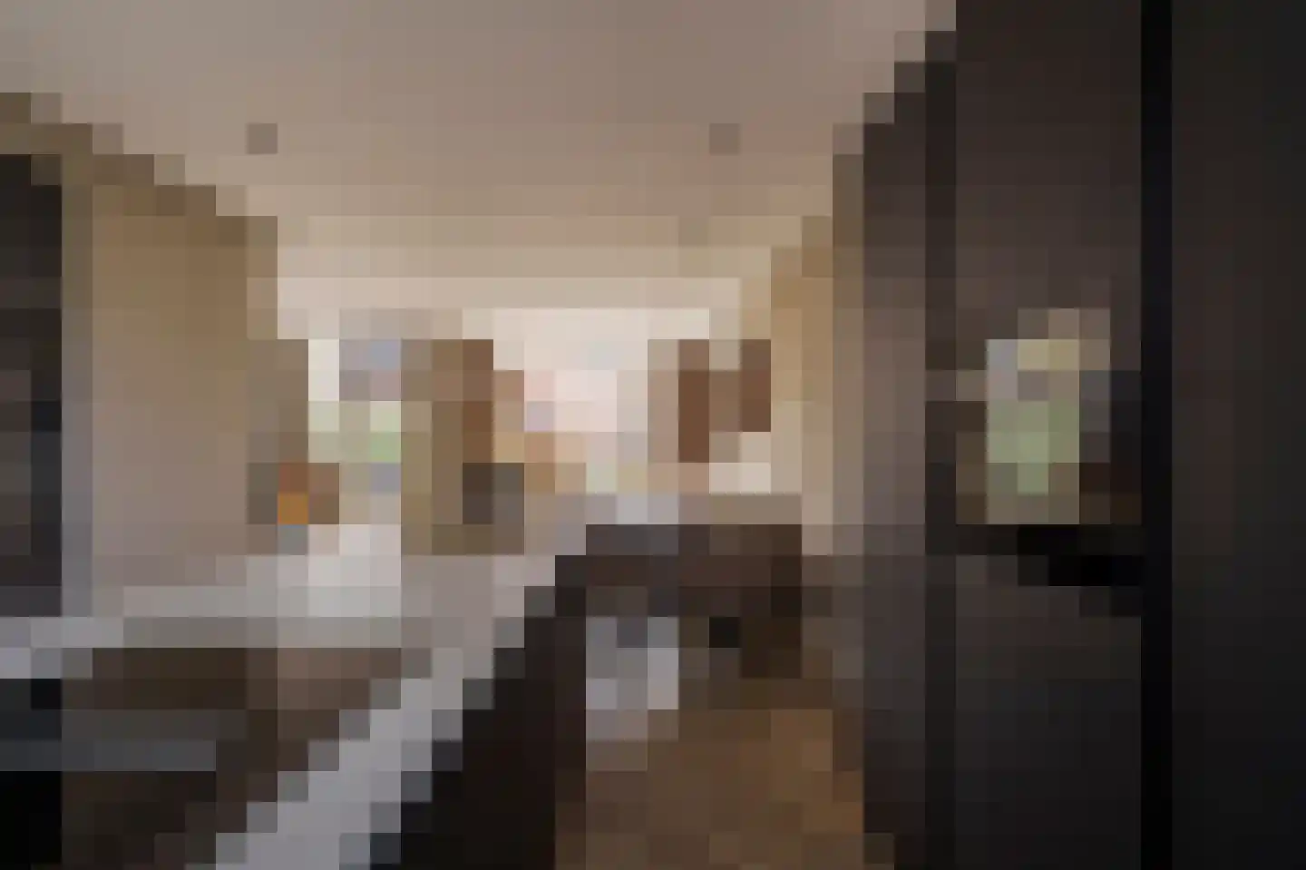A. Pakvisstraat 7 Den Haag thumbnail 13