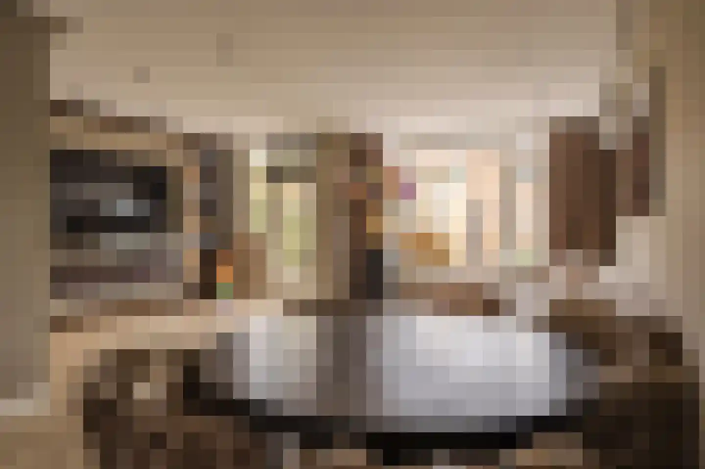 A. Pakvisstraat 7 Den Haag thumbnail 14