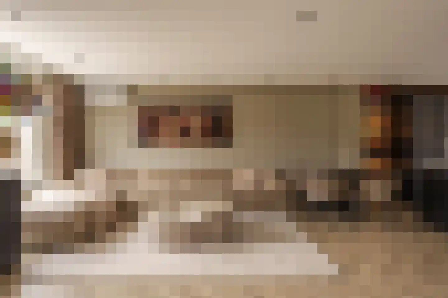 A. Pakvisstraat 7 Den Haag thumbnail 17