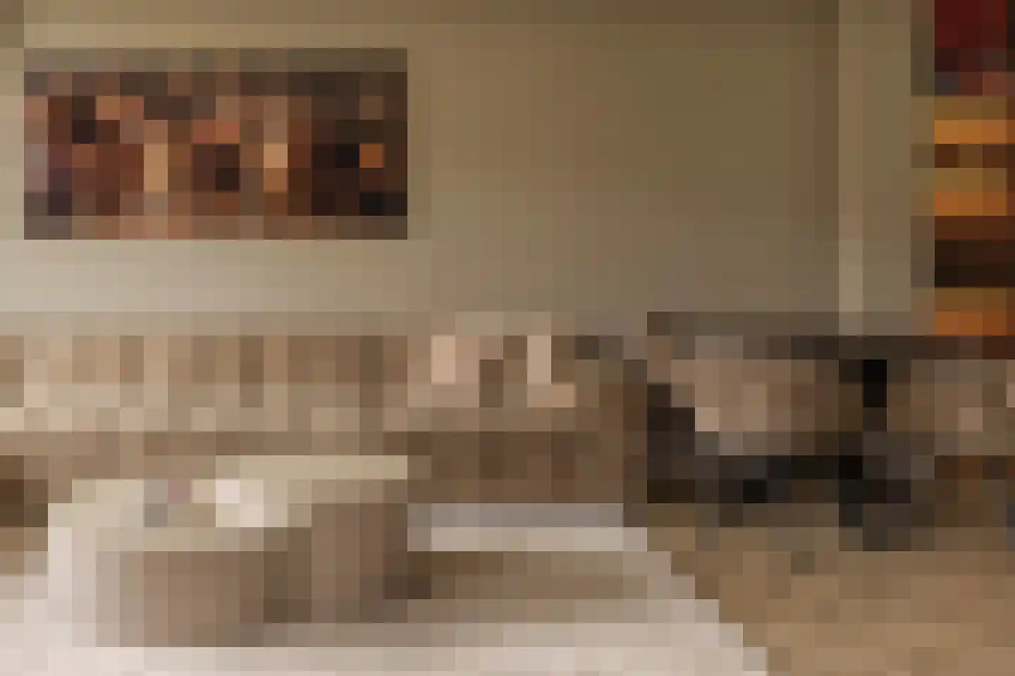 A. Pakvisstraat 7 Den Haag thumbnail 18