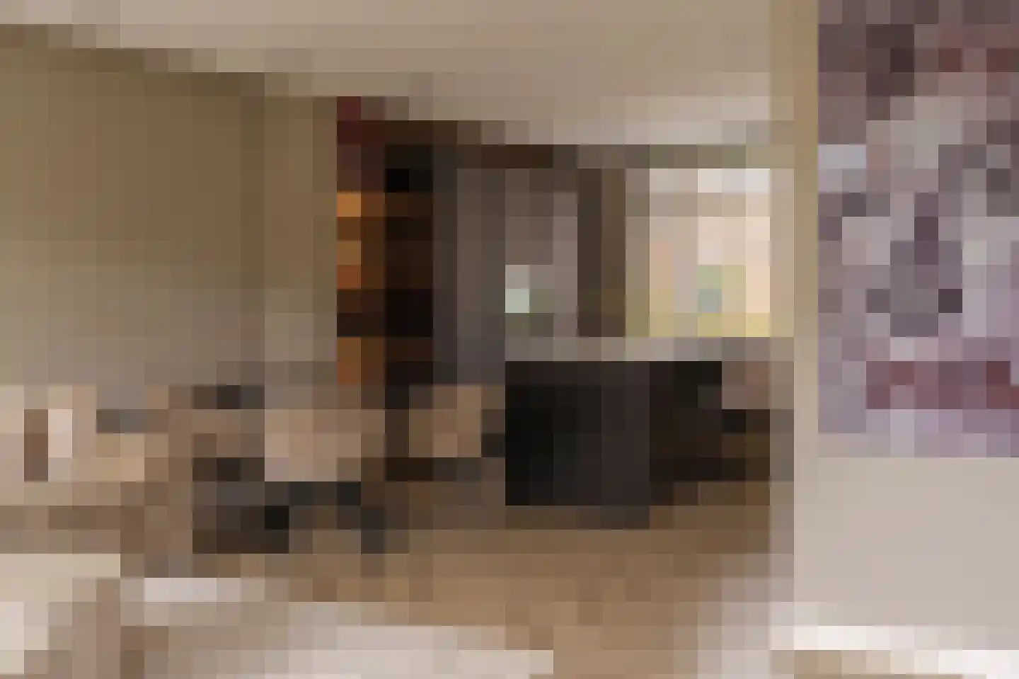 A. Pakvisstraat 7 Den Haag thumbnail 21