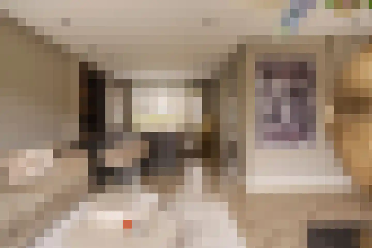 A. Pakvisstraat 7 Den Haag thumbnail 22
