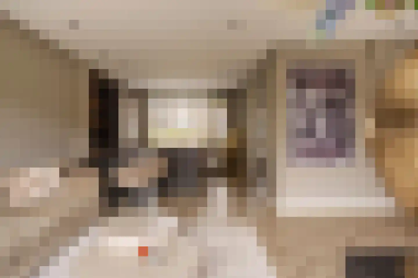 A. Pakvisstraat 7 Den Haag thumbnail 22