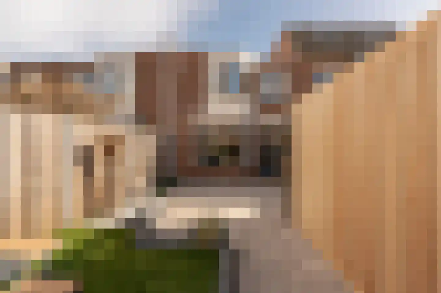 A. Pakvisstraat 7 Den Haag thumbnail 24