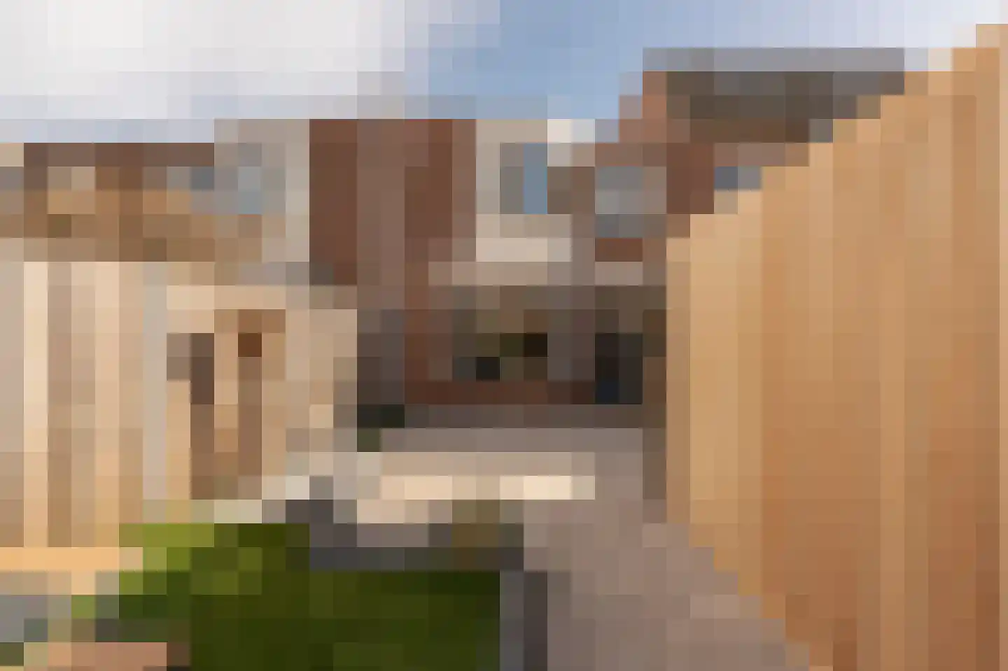 A. Pakvisstraat 7 Den Haag thumbnail 24