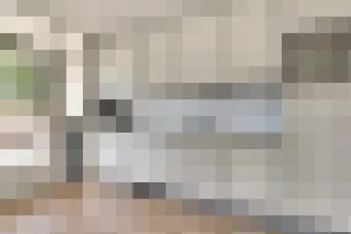 A. Petersweg 23 Den Haag thumbnail 10