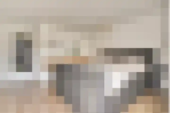 A. Petersweg 23 Den Haag thumbnail 12