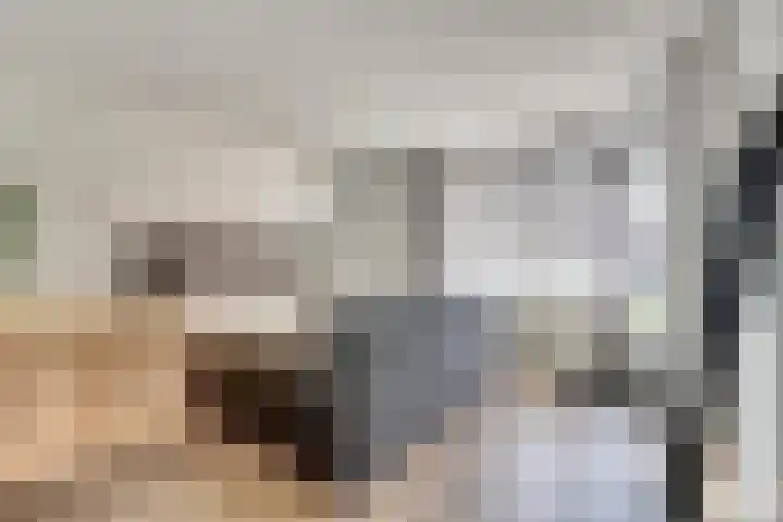 A. Petersweg 23 Den Haag thumbnail 13