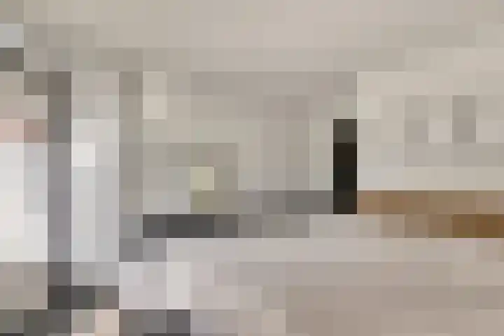 A. Petersweg 23 Den Haag thumbnail 14
