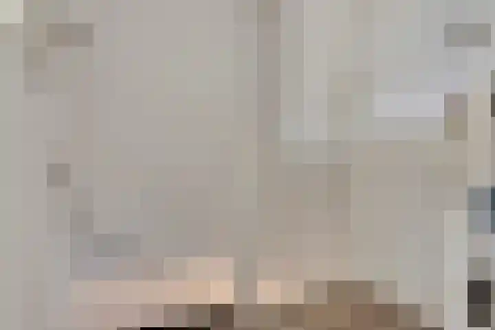 A. Petersweg 23 Den Haag thumbnail 15