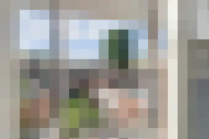 A. Petersweg 23 Den Haag thumbnail 21
