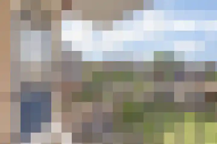 A. Petersweg 23 Den Haag thumbnail 22