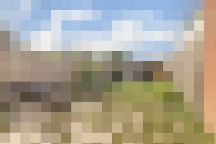 A. Petersweg 23 Den Haag thumbnail 23