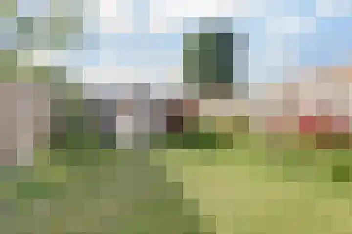 A. Petersweg 23 Den Haag thumbnail 24