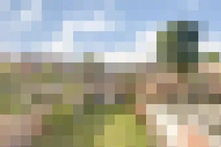 A. Petersweg 23 Den Haag thumbnail 25