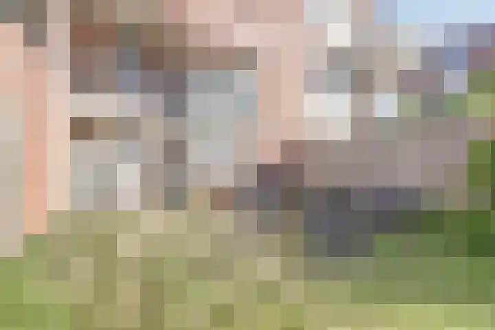 A. Petersweg 23 Den Haag thumbnail 26