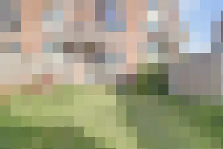 A. Petersweg 23 Den Haag thumbnail 27