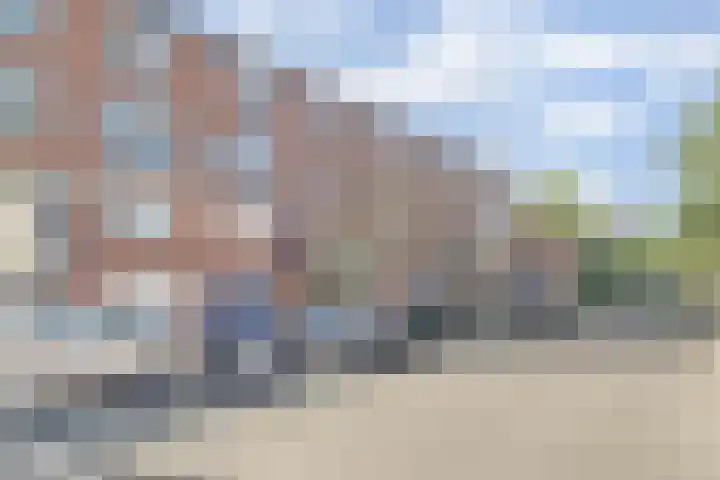 A. Petersweg 23 Den Haag thumbnail 29