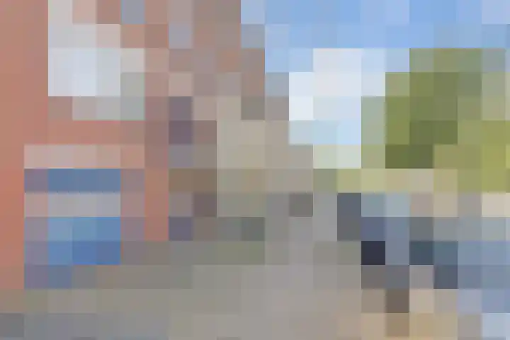 A. Petersweg 23 Den Haag thumbnail 30