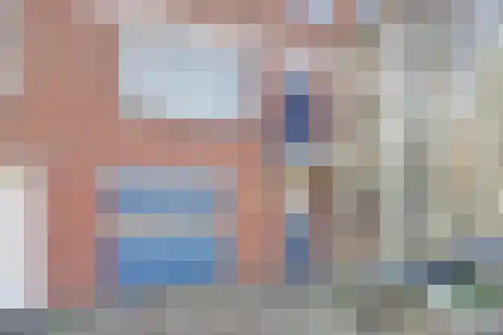 A. Petersweg 23 Den Haag thumbnail 32