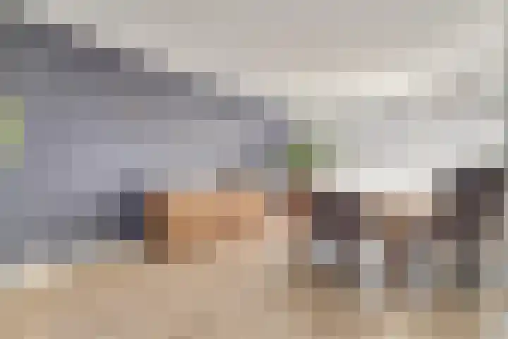 A. Petersweg 23 Den Haag thumbnail 6