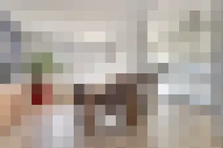 A. Petersweg 23 Den Haag thumbnail 7