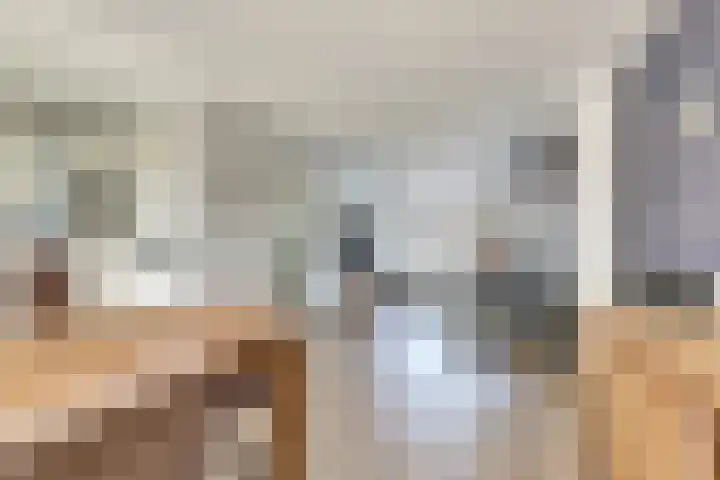 A. Petersweg 23 Den Haag thumbnail 8