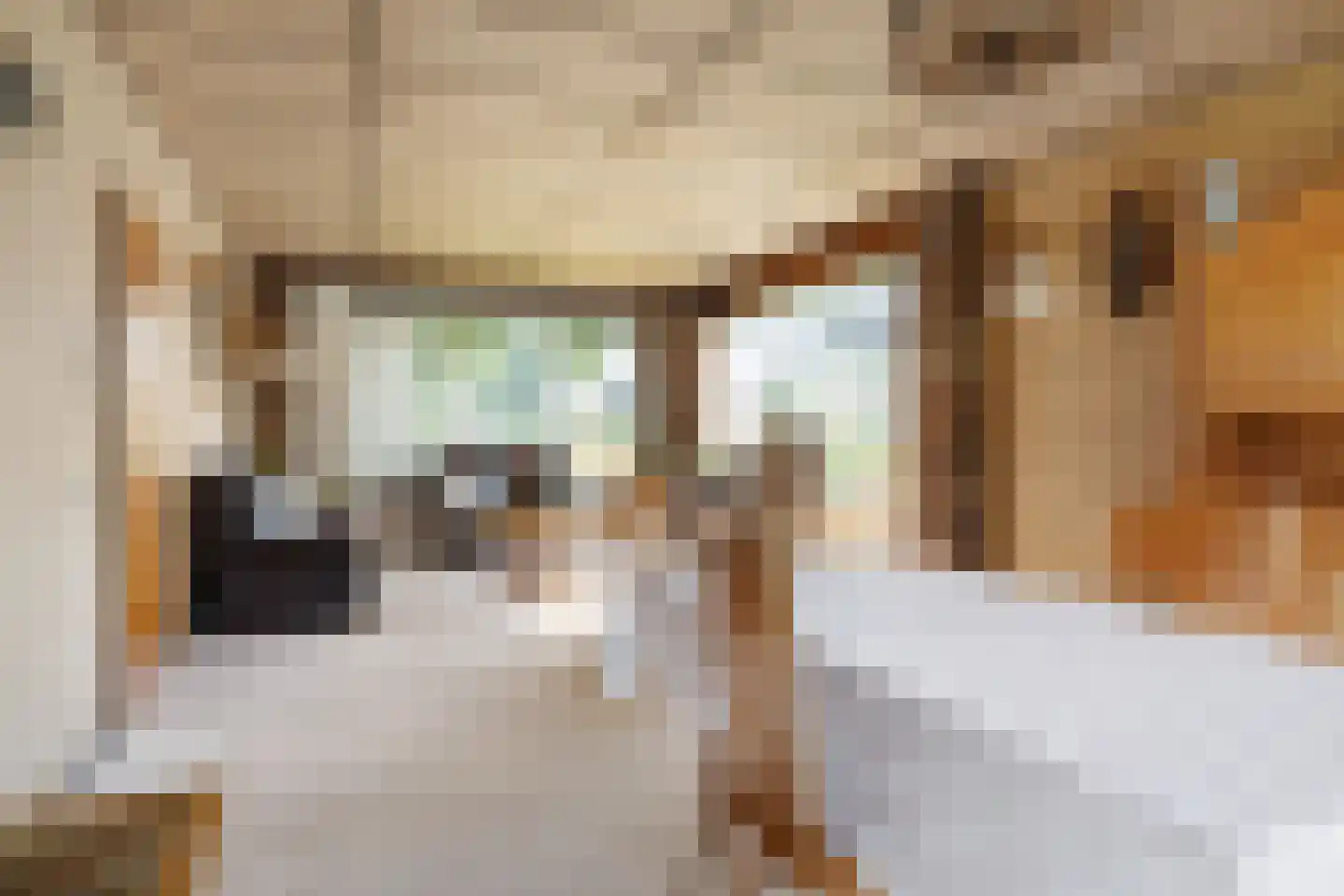 A. Prakkenstrjitte 24 Damwâld thumbnail 12
