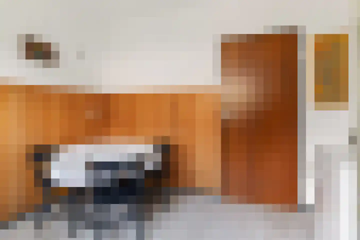 A. Prakkenstrjitte 24 Damwâld thumbnail 14