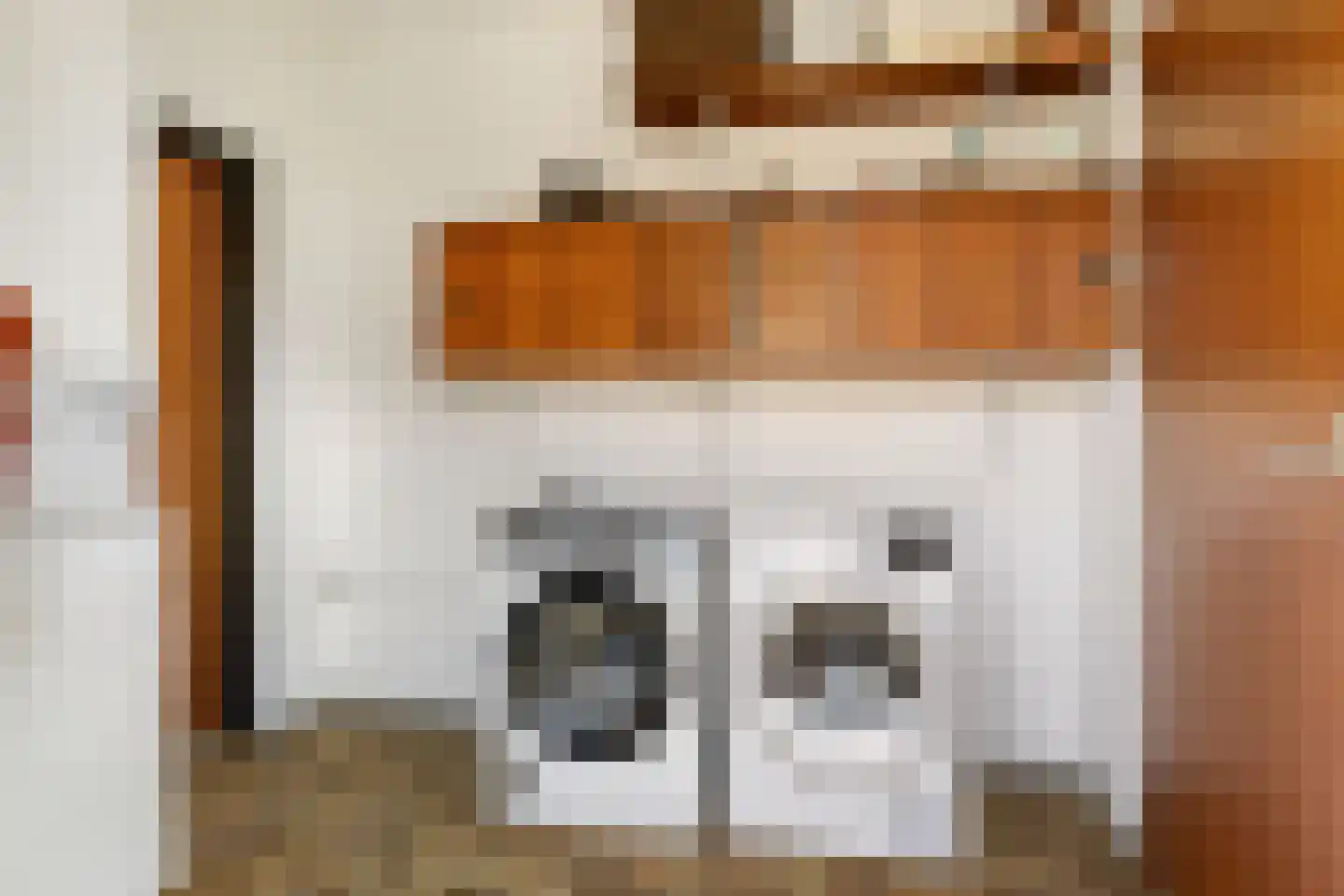 A. Prakkenstrjitte 24 Damwâld thumbnail 15