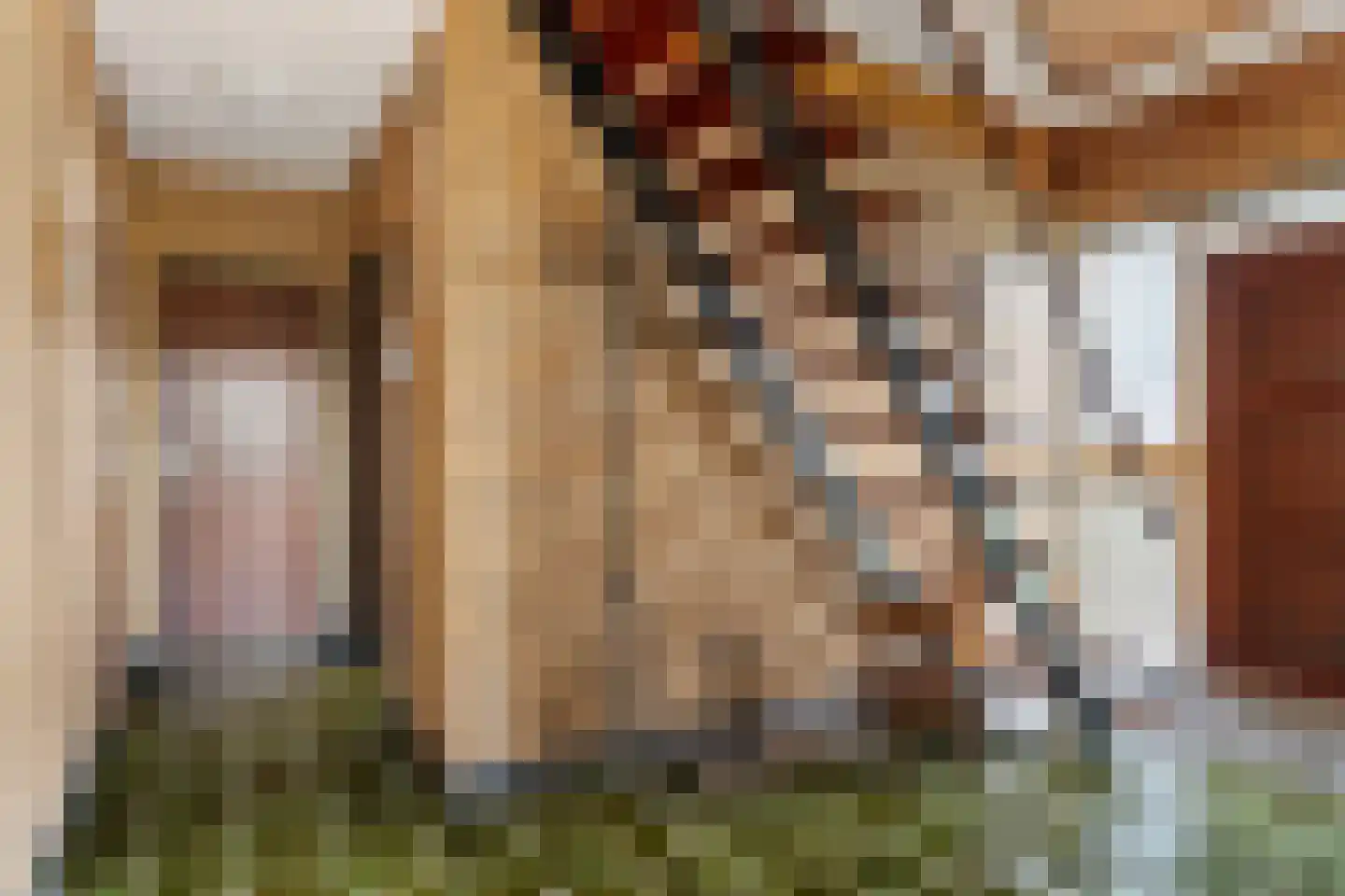 A. Prakkenstrjitte 24 Damwâld thumbnail 20