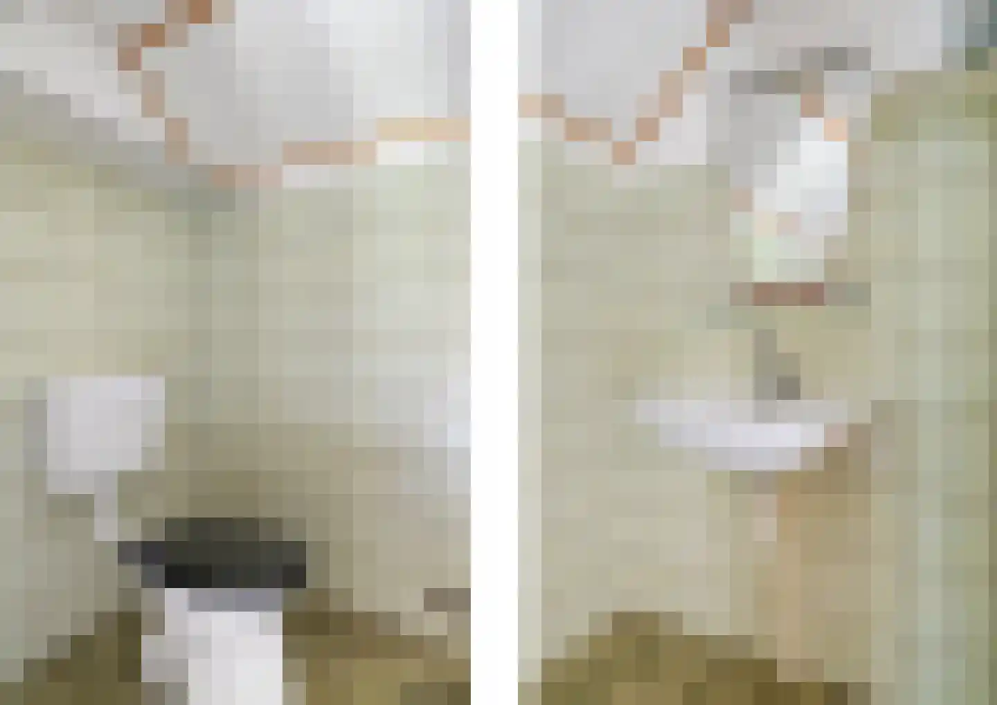 A. Prakkenstrjitte 24 Damwâld thumbnail 23