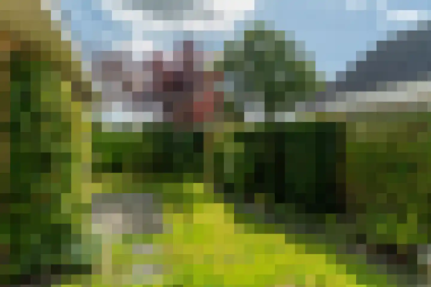 A. Prakkenstrjitte 24 Damwâld thumbnail 34