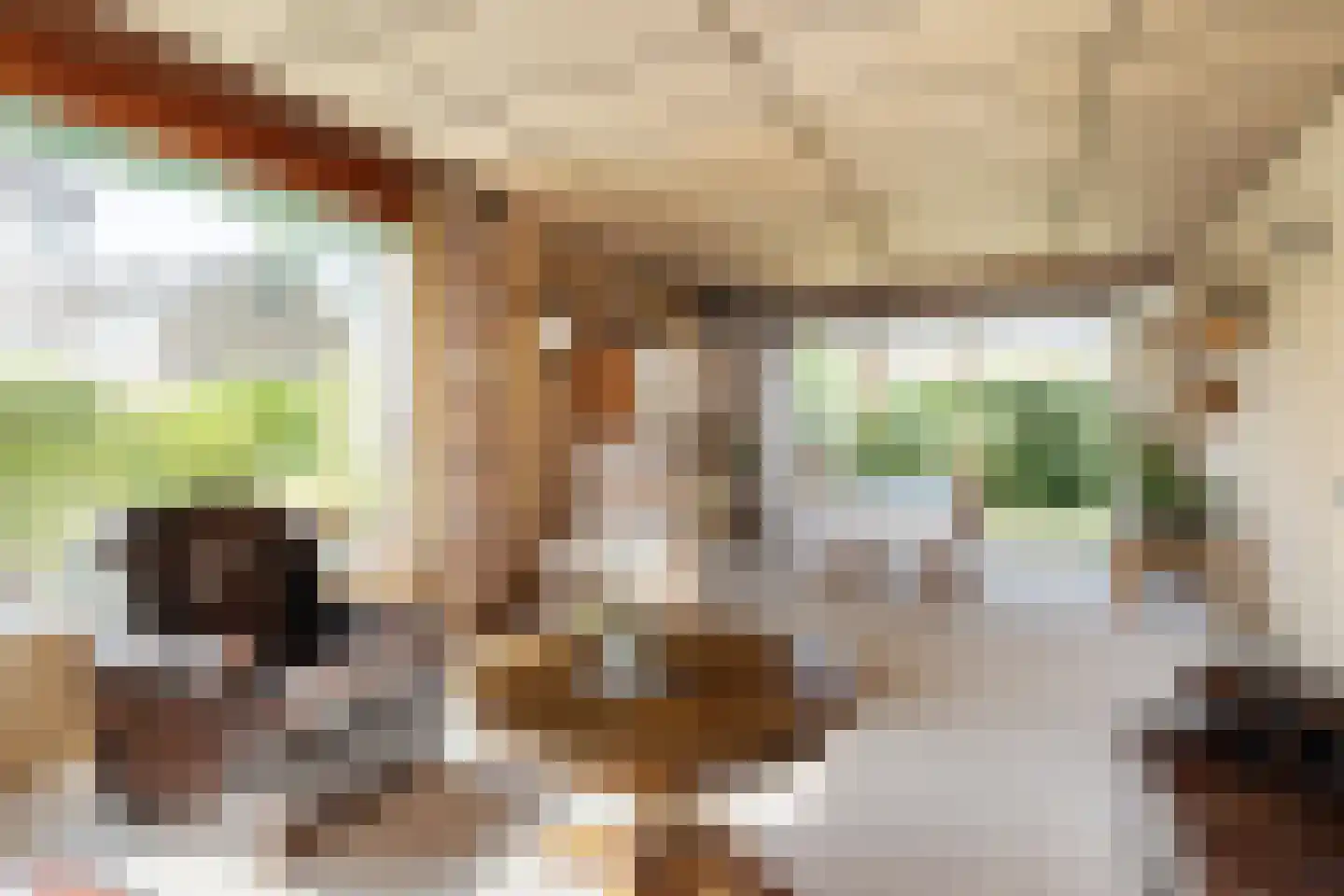 A. Prakkenstrjitte 24 Damwâld thumbnail 6